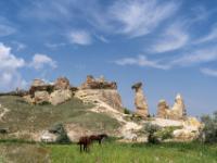 Pferde auf Wiese bei Felsformation westlich von Çavuşin
